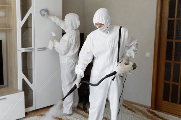 Best Professional Mold Removal  in Brown City, MI
