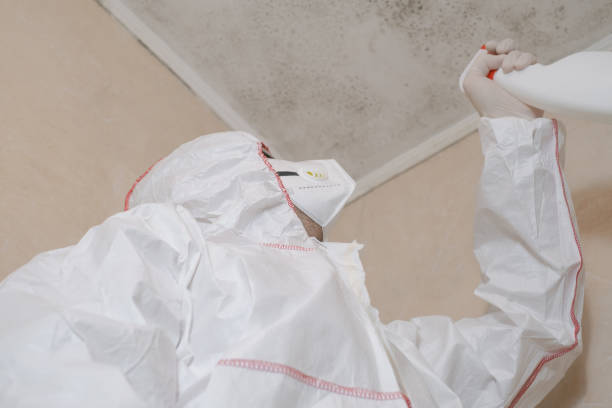 Best Professional Mold Removal  in Brown City, MI